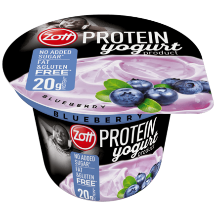 Zott mustikajogurt 10 x 100g - realiseerimisaeg 10p